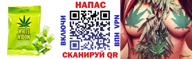 Canna-Cookies марихуана  ссылка на мегу   Шацк  где продают  