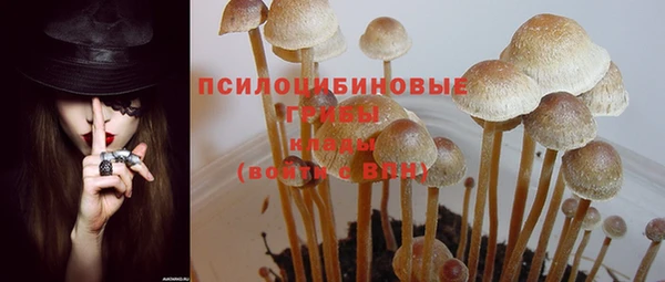 кристаллы Алзамай