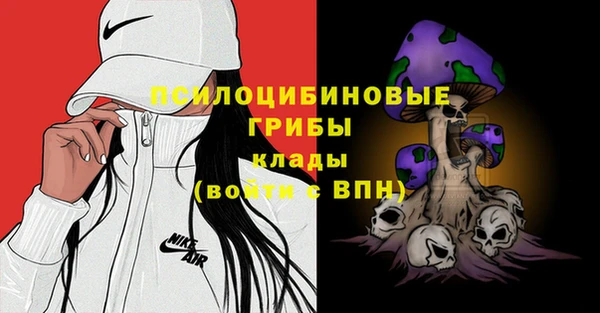 MDMA Медногорск