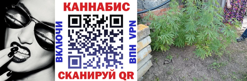 Шишки марихуана марихуана Шацк